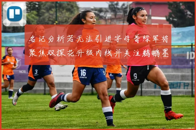 名记分析若无法引进字母哥绿军将聚焦双探花升级内线并关注鹈鹕墨菲